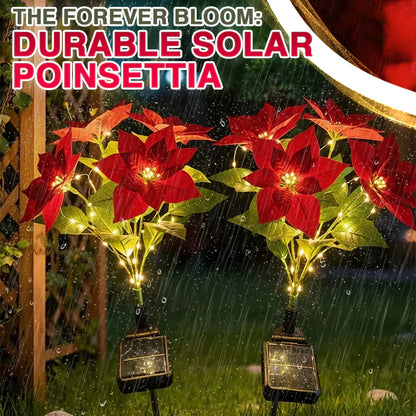 Donnez vie à votre jardin pour Noël ! Lampe solaire artificielle en forme de poinsettia de Noël - (étanche, pour le jardin, décoration de Noël)