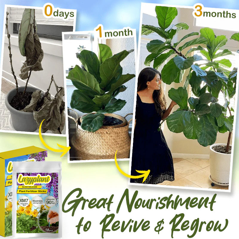 Bâtonnets d'engrais Lazy Plant Food